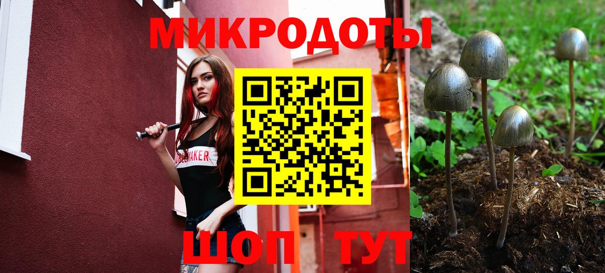 Великий Новгород  Галлюциногенные грибы GOLDEN TEACHER  Псилоцибиновые грибы мухоморы  Вход с VPN 